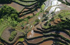Perubahan Lanskap Alam